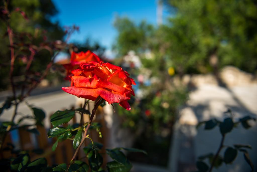 Casa Di Porto Roma Apartment วาซิลิคอส ภายนอก รูปภาพ