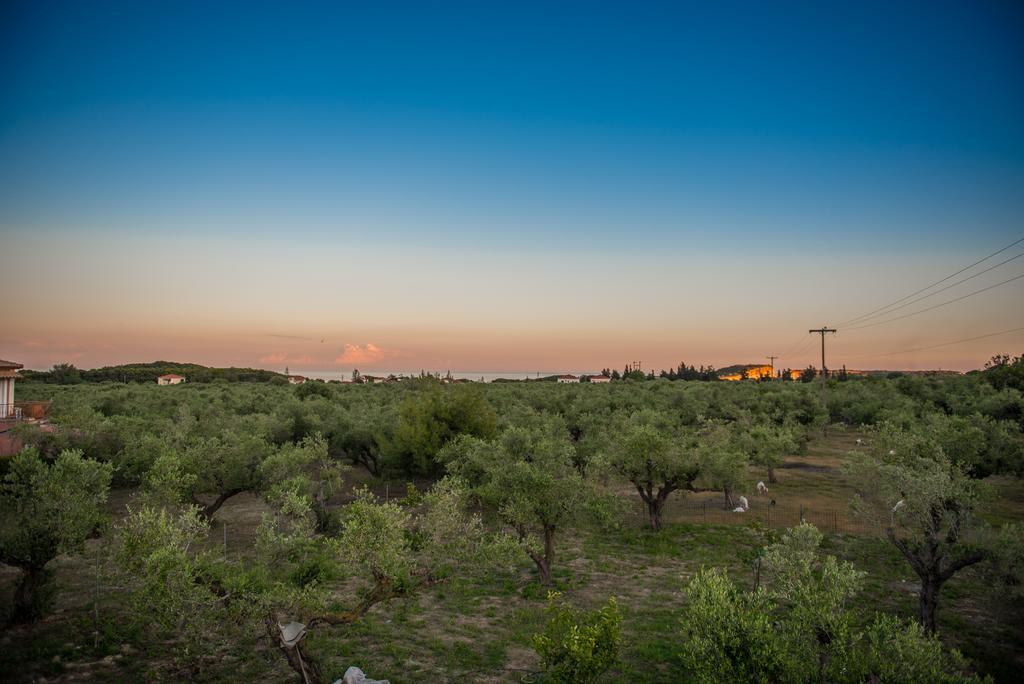 Casa Di Porto Roma Apartment วาซิลิคอส ภายนอก รูปภาพ
